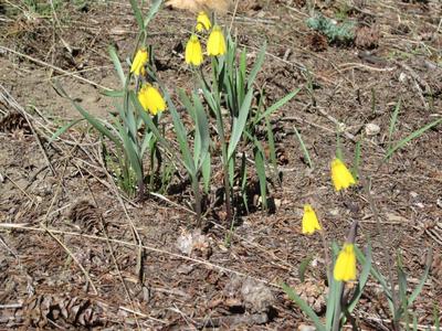 Spring at Oasis Montana Solar Energy Supply and Design