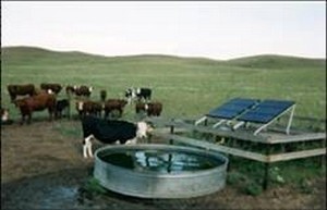 Rural Energy for America Program (REAP) grants