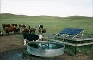 Solar water pumping for livestock